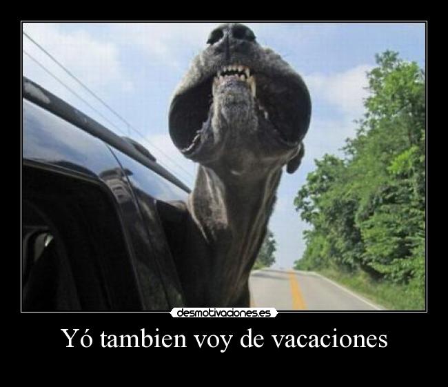 Yó tambien voy de vacaciones -