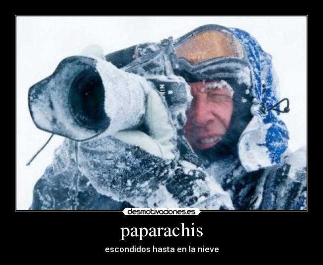 paparachis - escondidos hasta en la nieve