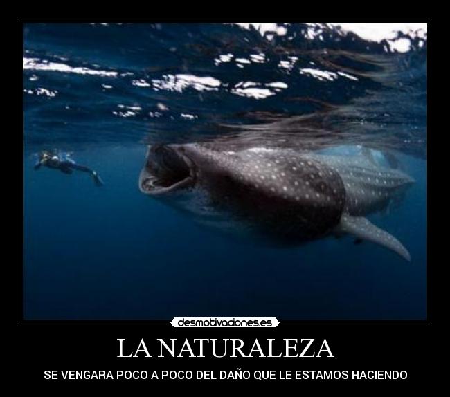 LA NATURALEZA - SE VENGARA POCO A POCO DEL DAÑO QUE LE ESTAMOS HACIENDO
