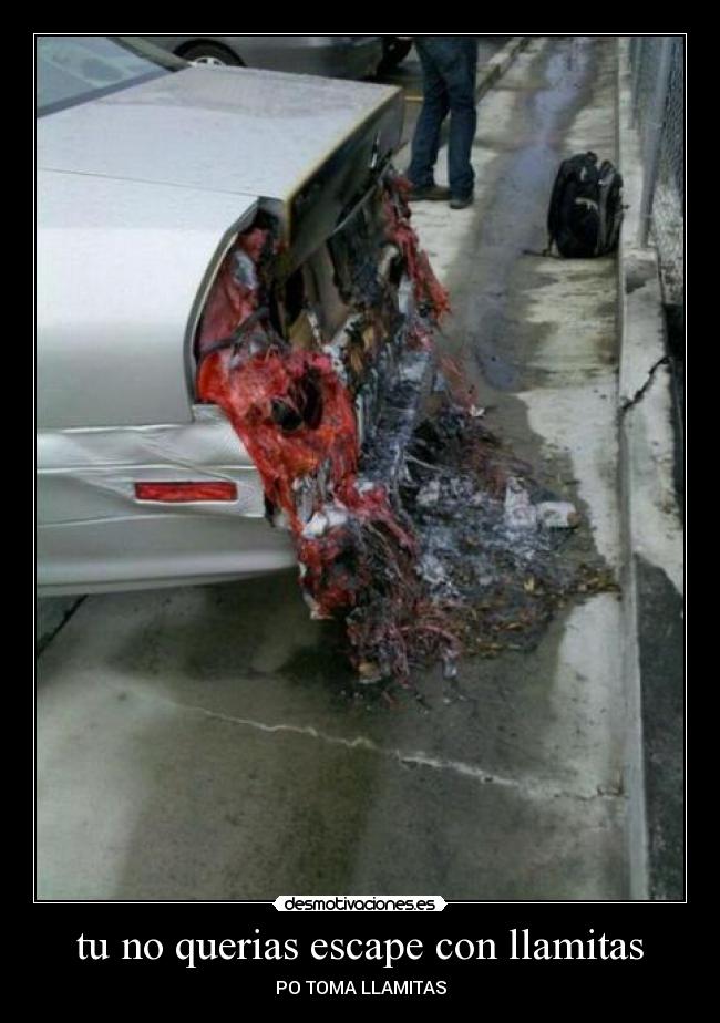 tu no querias escape con llamitas -