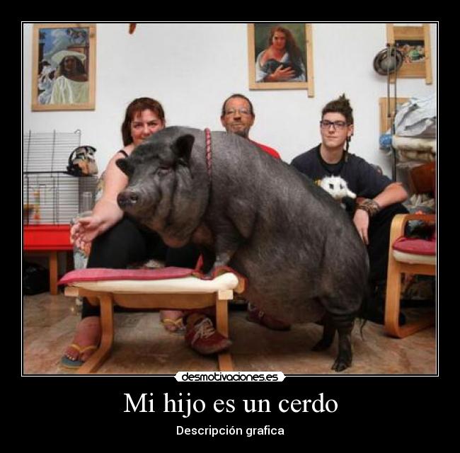 Mi hijo es un cerdo - Descripción grafica