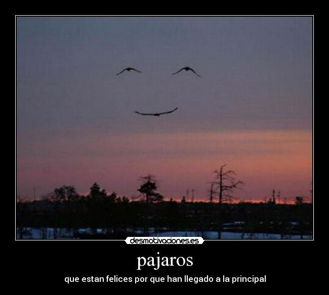 pajaros - que estan felices por que han llegado a la principal