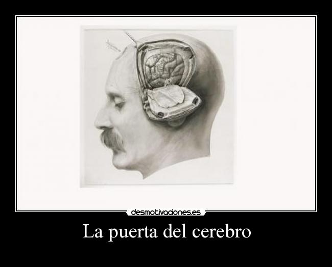 La puerta del cerebro -