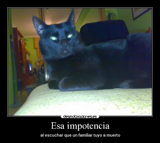 Esa impotencia -