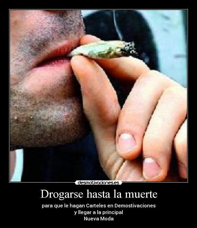Drogarse hasta la muerte - 