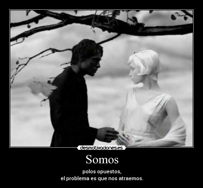 Somos - 