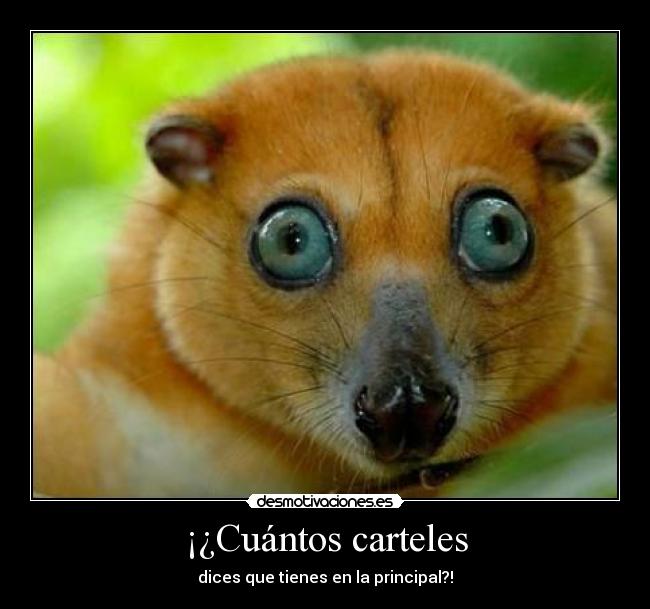 ¡¿Cuántos carteles -