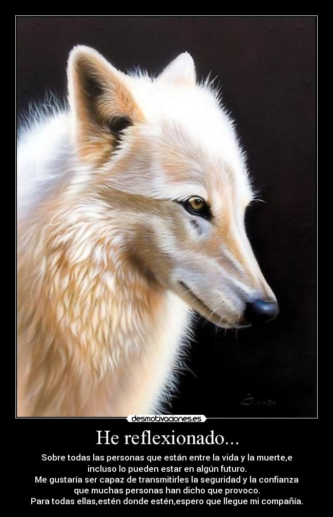 carteles reflexion desmotivaciones