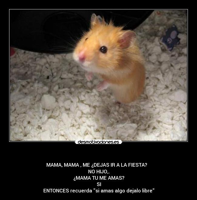 carteles miika desmotivaciones