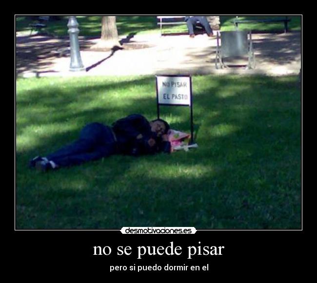 carteles puede desmotivaciones