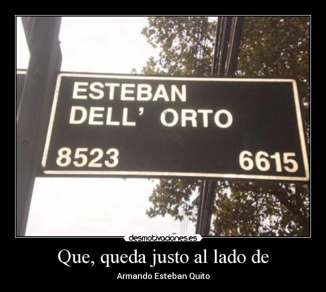 carteles desmotivaciones