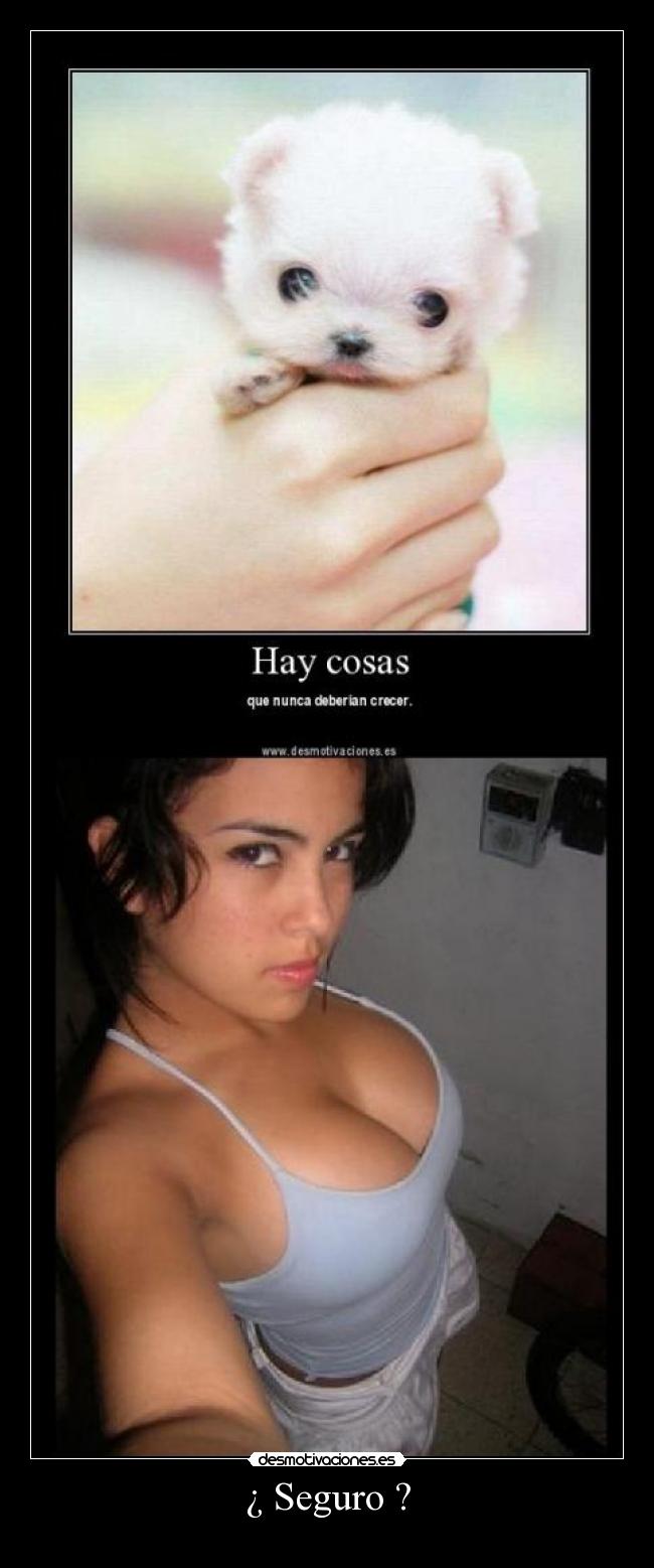 ¿ Seguro ? -