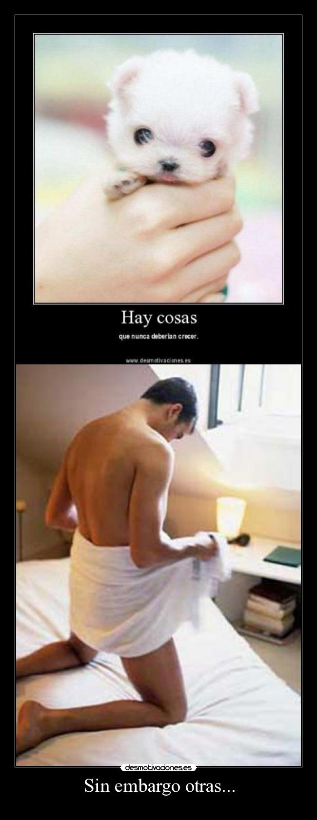 carteles sin embargo desmotivaciones