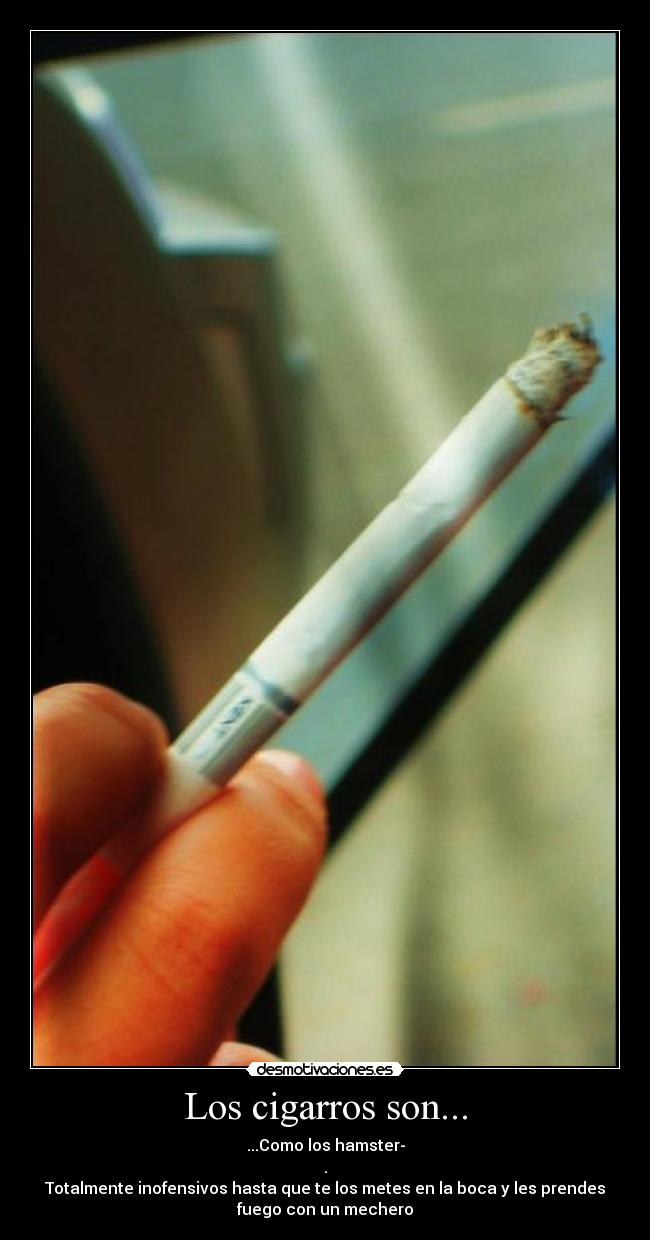 Los cigarros son... -