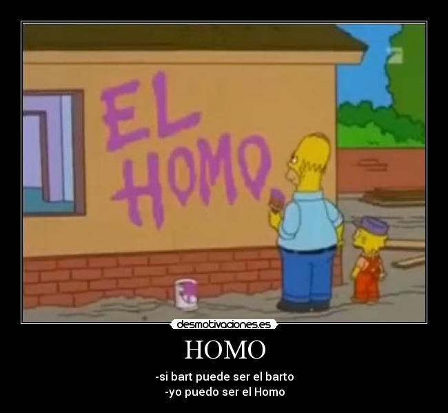 HOMO - 