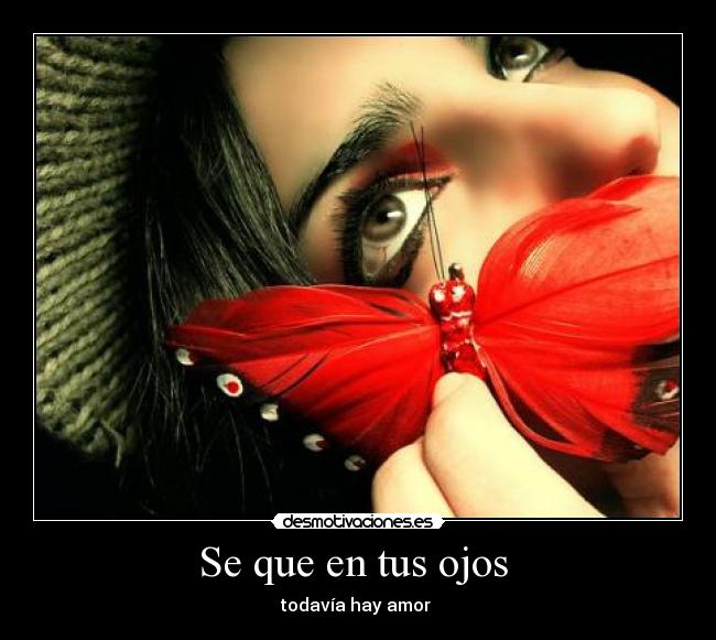 carteles nadie desmotivaciones