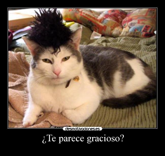 ¿Te parece gracioso? -