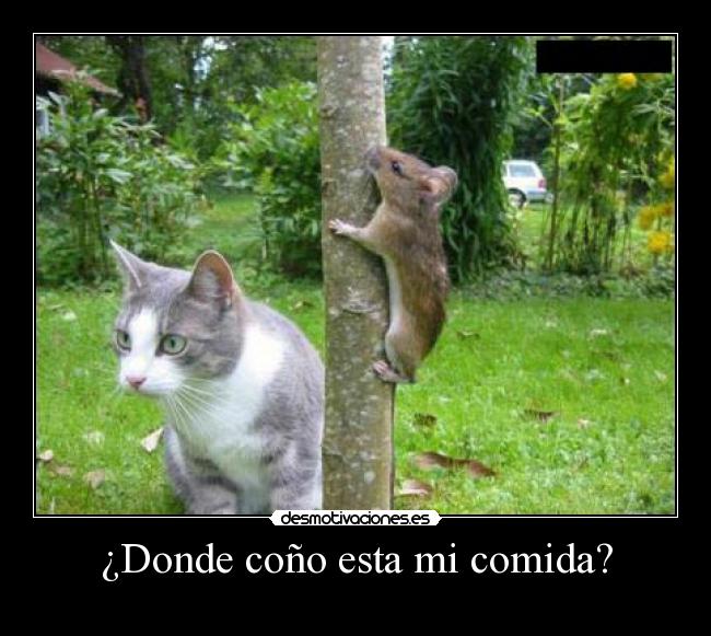 ¿Donde coño esta mi comida? -