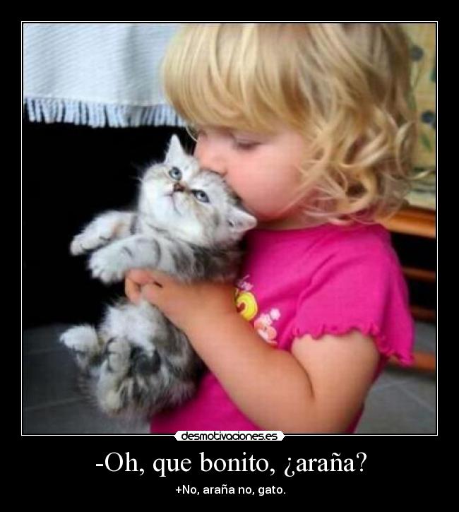 -Oh, que bonito, ¿araña? - 