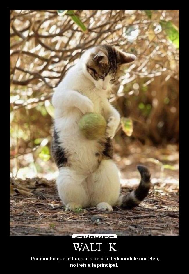 WALT_K - Por mucho que le hagais la pelota dedicandole carteles,
no ireis a la principal.