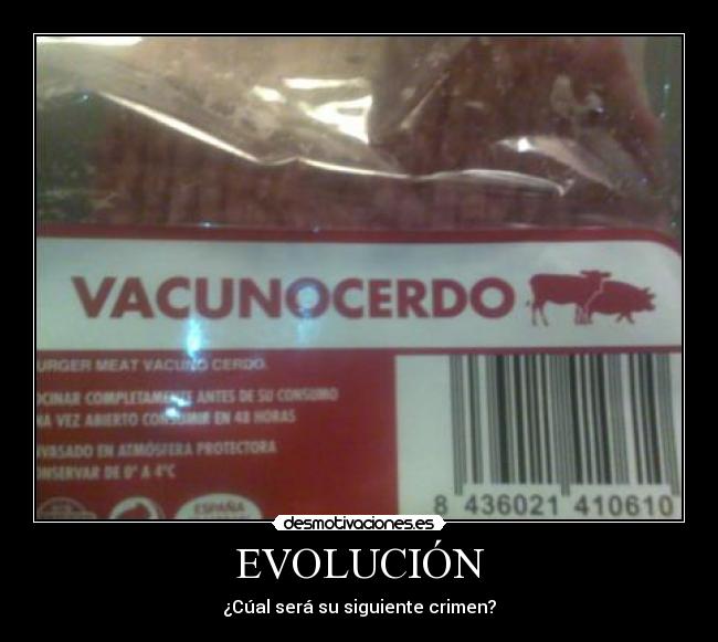 EVOLUCIÓN - 