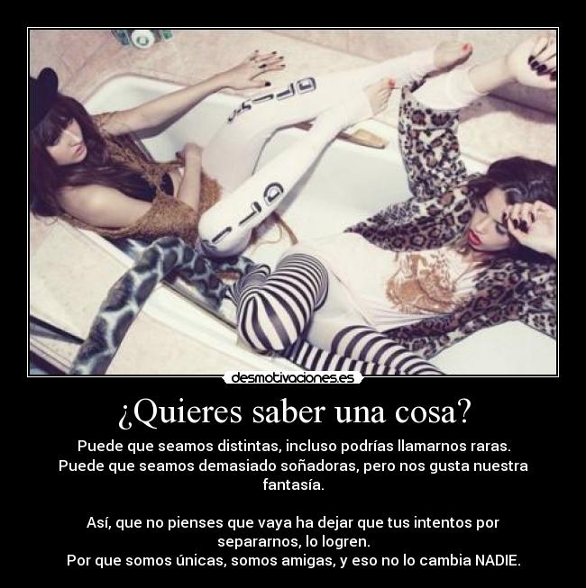 ¿Quieres saber una cosa? - Puede que seamos distintas, incluso podrías llamarnos raras.
Puede que seamos demasiado soñadoras, pero nos gusta nuestra fantasía.

Así, que no pienses que vaya ha dejar que tus intentos por separarnos, lo logren.
Por que somos únicas, somos amigas, y eso no lo cambia NADIE.