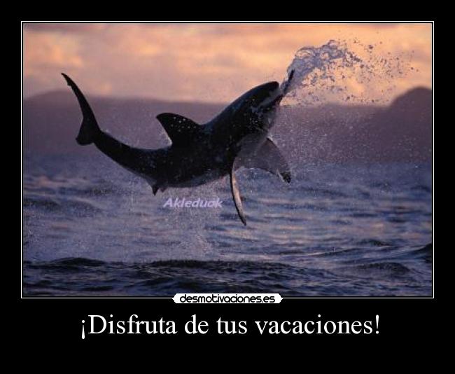 ¡Disfruta de tus vacaciones! - 