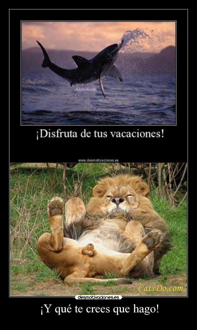 carteles dncv desmotivaciones