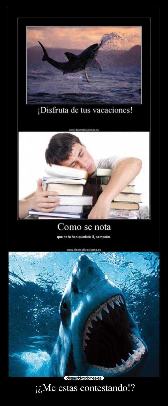 ¡¿Me estas contestando!? -