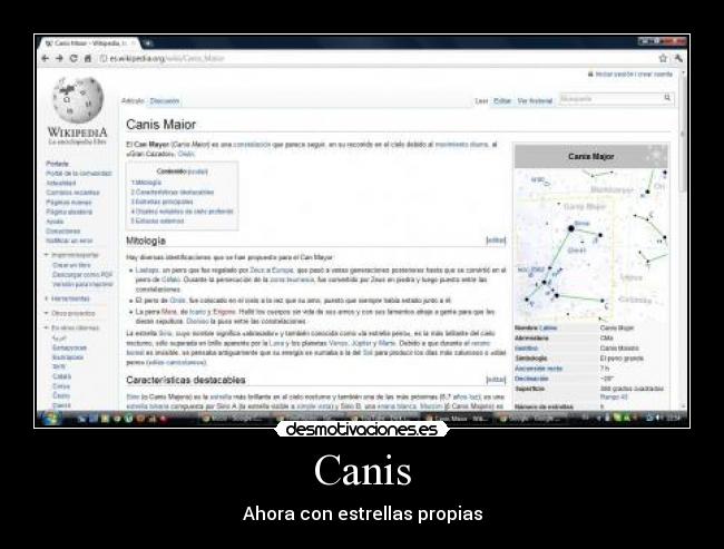 Canis - 