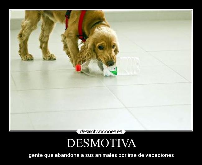 DESMOTIVA - 