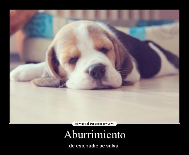 Aburrimiento - de eso,nadie se salva.