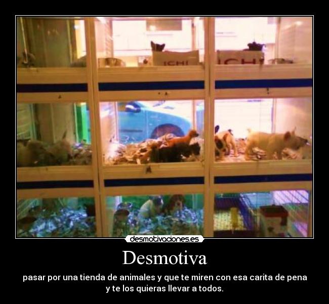 Desmotiva - 