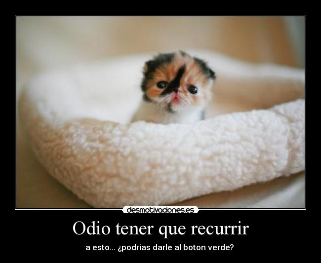 carteles odio gato desmotivaciones