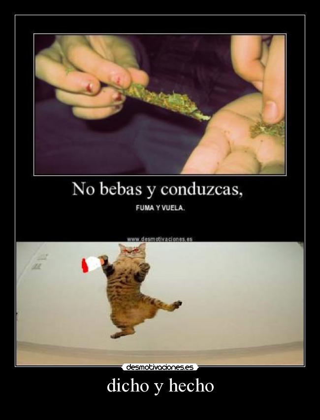 dicho y hecho - 