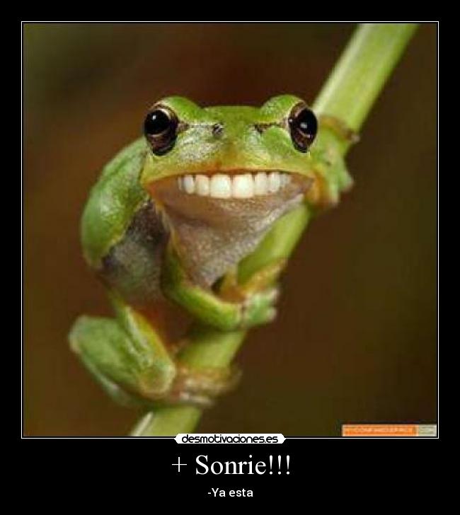 + Sonrie!!! - -Ya esta