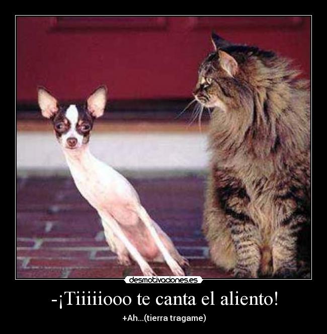 -¡Tiiiiiooo te canta el aliento! -