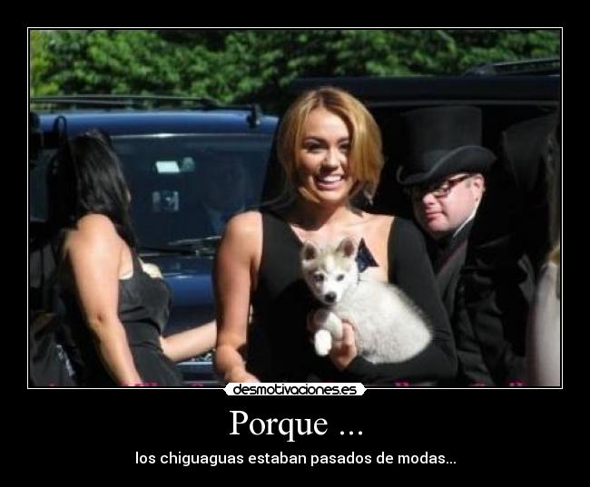 Porque ... - 