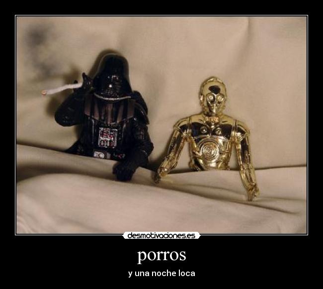 porros - y una noche loca