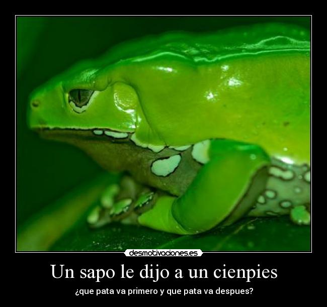 Imágenes y Carteles de SAPO Pag. 25 Desmotivaciones Imágenes y Carteles de SAPO Pag. 25 Desmotivaciones