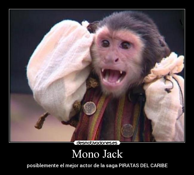 Mono Jack -