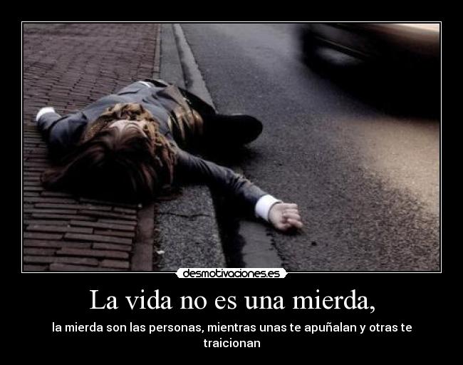 La vida no es una mierda, -