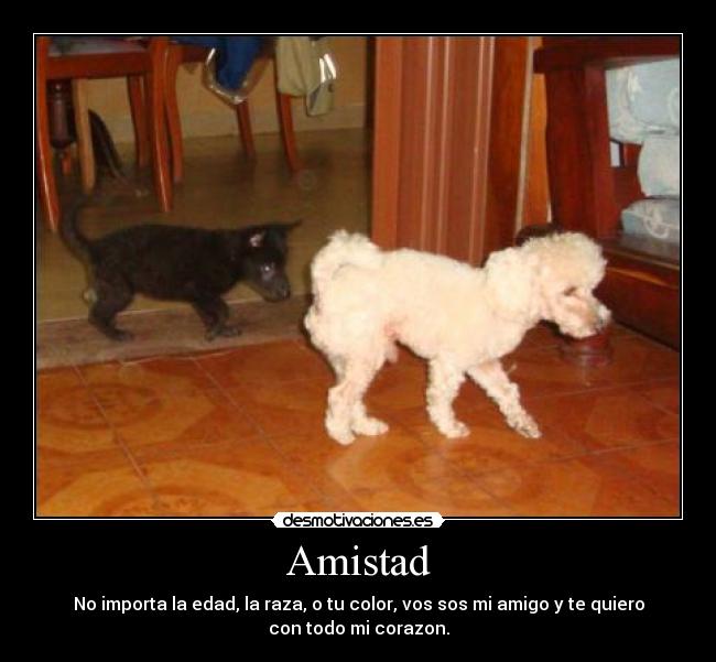 Amistad -