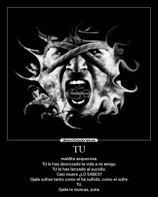 TU - maldita asquerosa.
TU le has desrozado la vida a mi amigo.
TU le has lanzado al sucidio.
Casi muere ¿LO SABES?
Ojala sufras tanto como el ha sufrido, como el sufre.
TU.
Ojala te mueras, puta.
