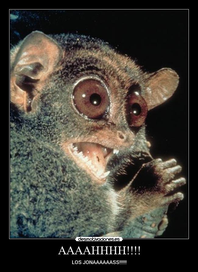 AAAAHHHH!!!! - LOS JONAAAAAASS!!!!!!