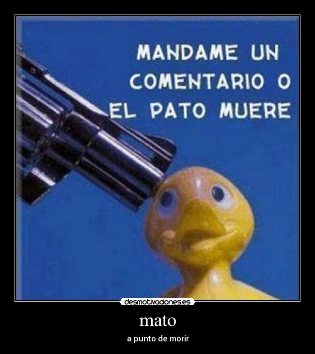 mato -