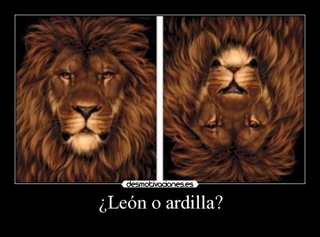 ¿León o ardilla? - 