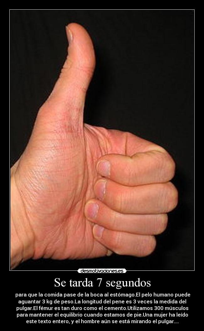 Se tarda 7 segundos -  para que la comida pase de la boca al estómago.El pelo humano puede
aguantar 3 kg de peso.La longitud del pene es 3 veces la medida del
pulgar.El fémur es tan duro como el cemento.Utilizamos 300 músculos
para mantener el equilibrio cuando estamos de pie.Una mujer ha leído
este texto entero, y el hombre aún se está mirando el pulgar....