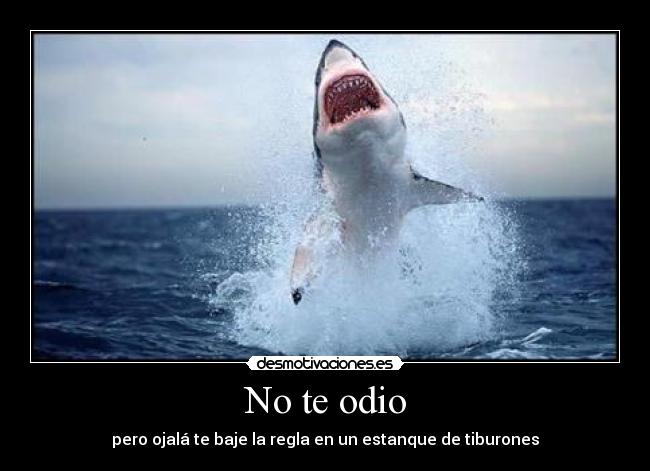 No te odio - pero ojalá te baje la regla en un estanque de tiburones