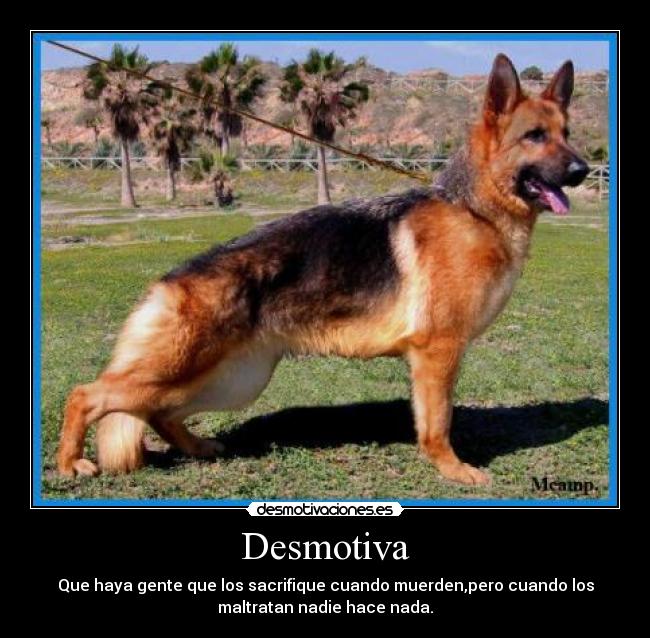 Desmotiva -